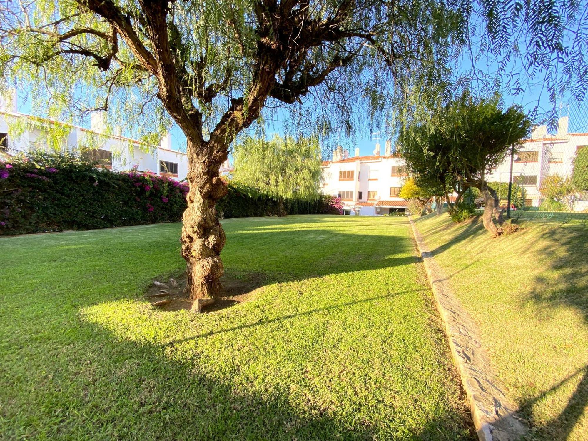 Albufeira Harmony With Pool By Homing Lejlighed Eksteriør billede
